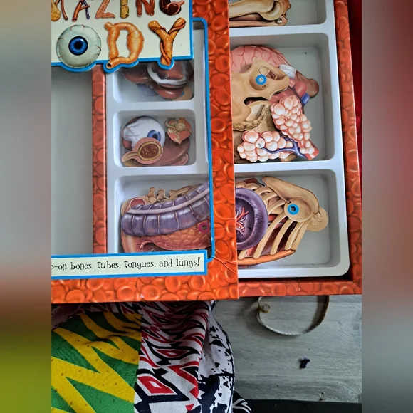 Amazing Body Educational Toy - Picture 2 of 3